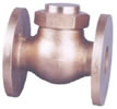 Non-Return Valve