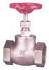 Gun Metal Globe Valve