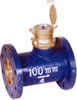 Interchangeble Type Water Meter